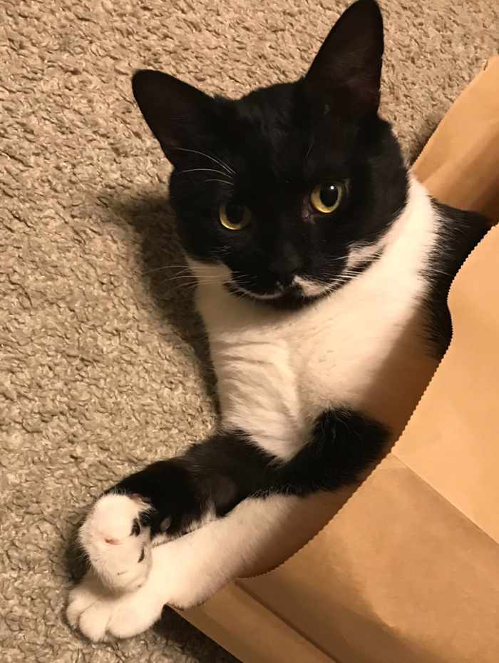    , ,   , , ,  , 