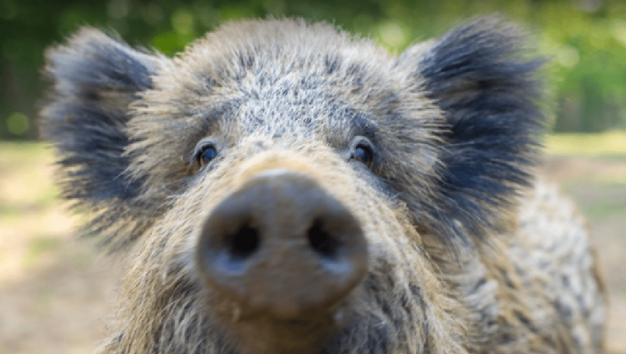 О вреде пластика.