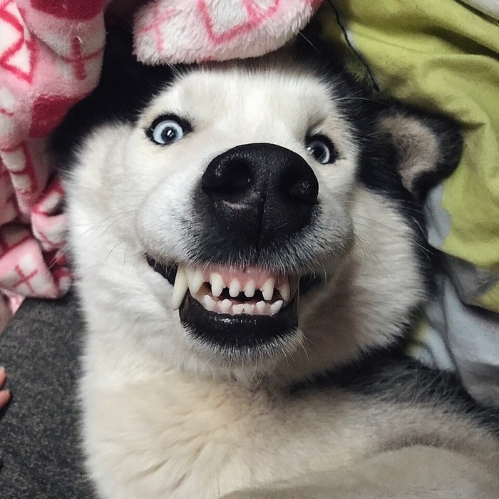 ����� �������� ��������, � ������� �� �������