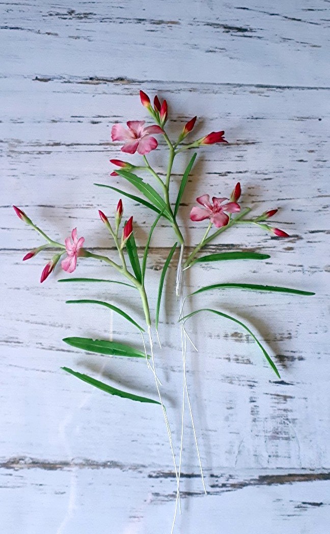 Handmade oleander - My, Needlework without process, Oleander, Polymer clay, Plants, Flowers, Cold porcelain, Longpost