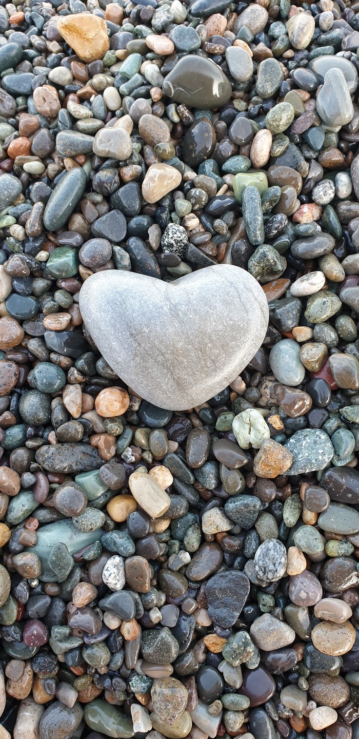 � ������� �� ������