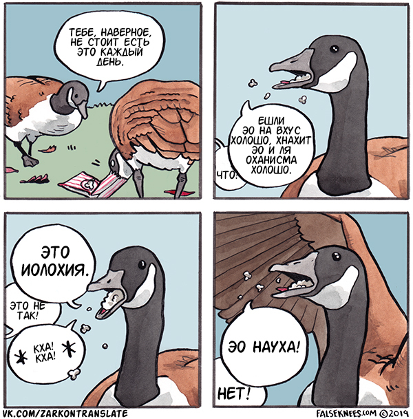 Food - Falseknees, Comics