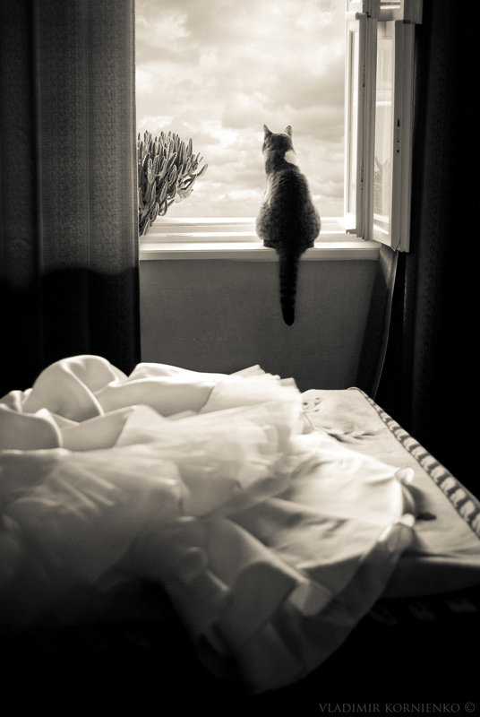 ,   !  ...     ,     ...