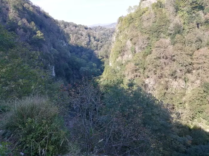 Devil's Gate Canyon. - My, Sochi, Walk, Yew-boxwood grove, Longpost