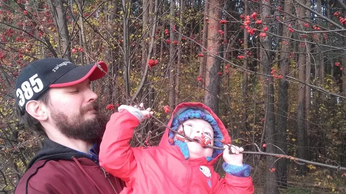 What is autumn ... - My, Parents and children, Autumn, Beginning photographer, Forest, Beard