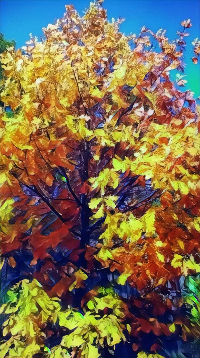 A little juicy autumn in your feed! - My, The photo, Photoshop master, Autumn leaves, Brightness, Yellow leaves