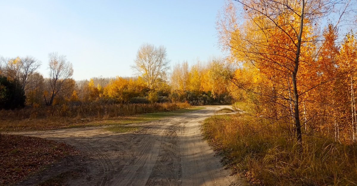 Осень В Новосибирске Фото