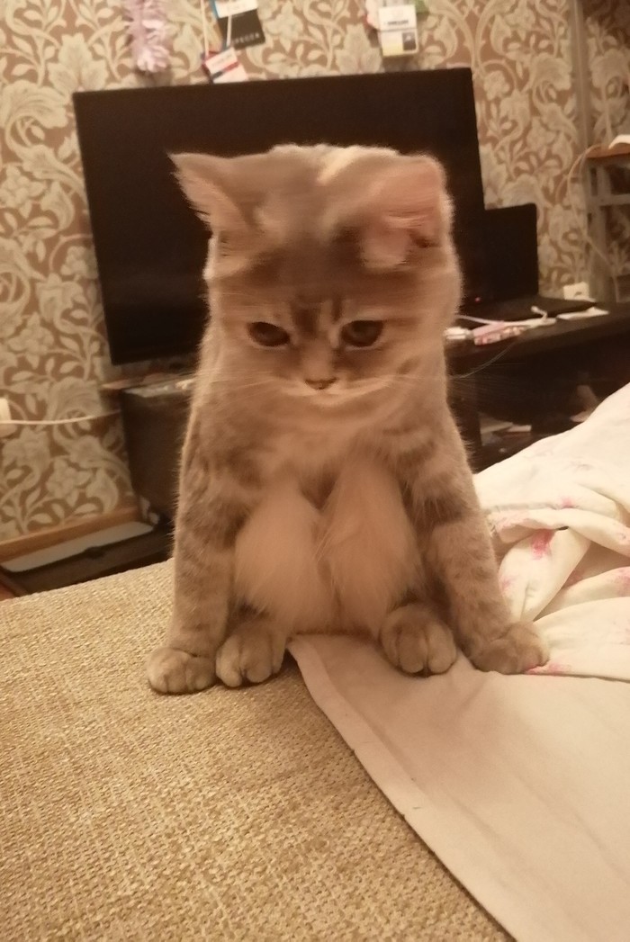   , , 
