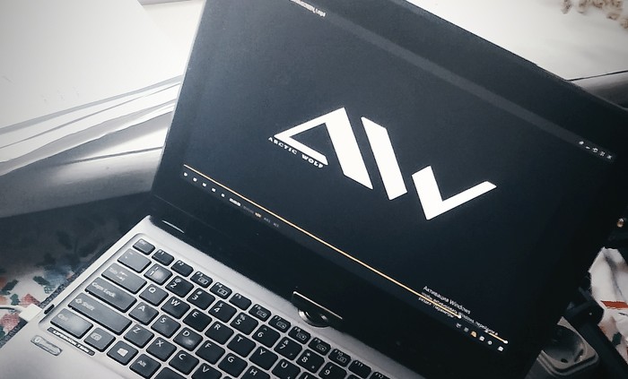 INTRO BY ARCTIC WOLF GAMES