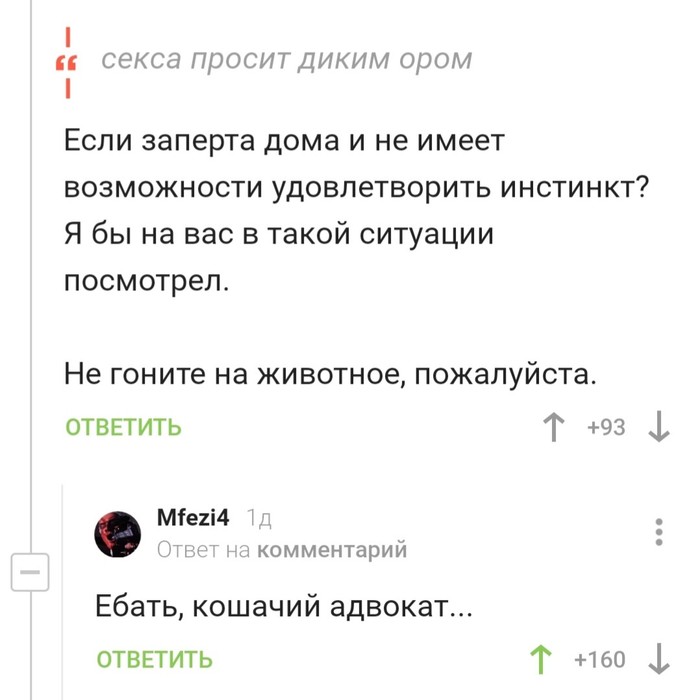 Кошачий адвокат) | Пикабу