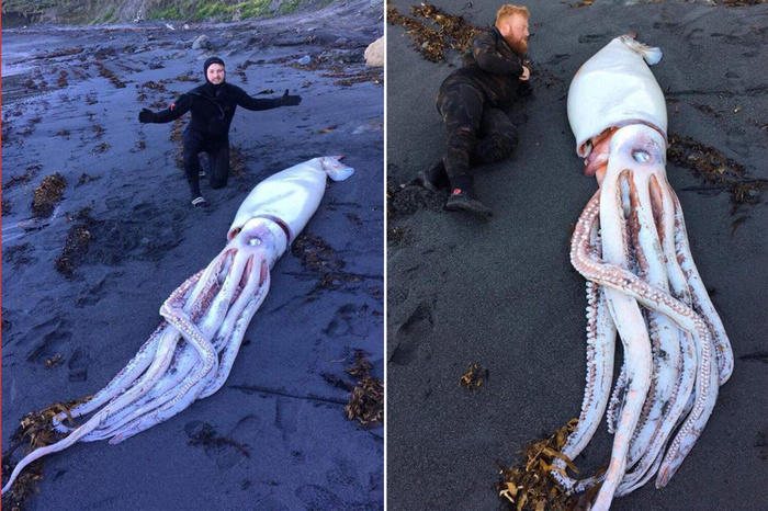 ������ ����� � ���� �������! ��������, �....��!