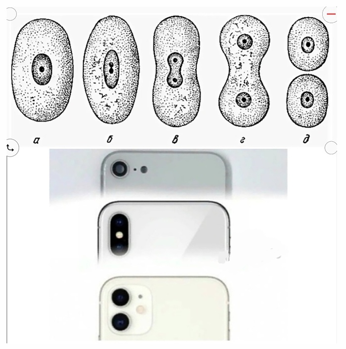 История развития камеры iPhone