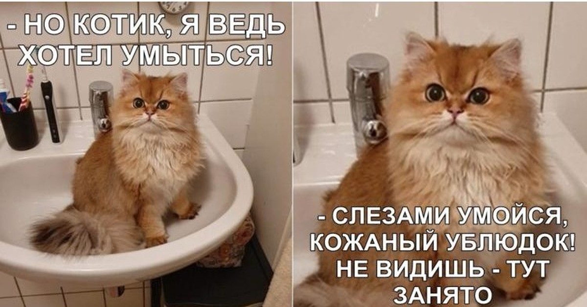 Позже зайду