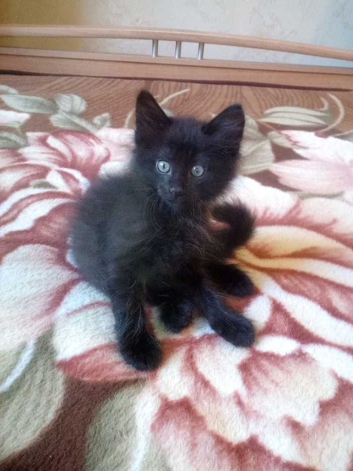 ����� ���� ���� ���