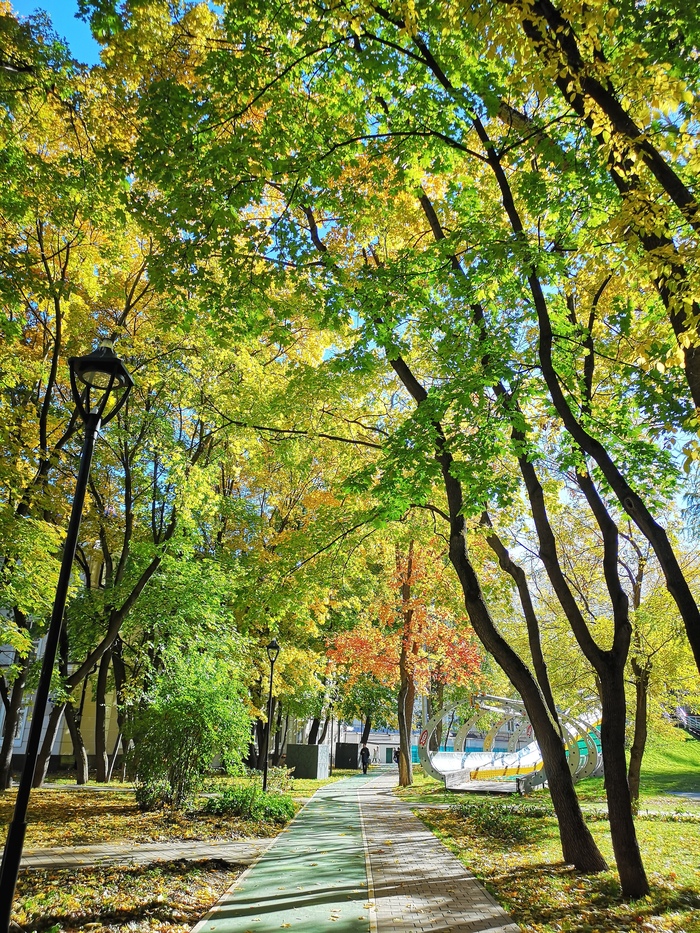 ��������� ��������