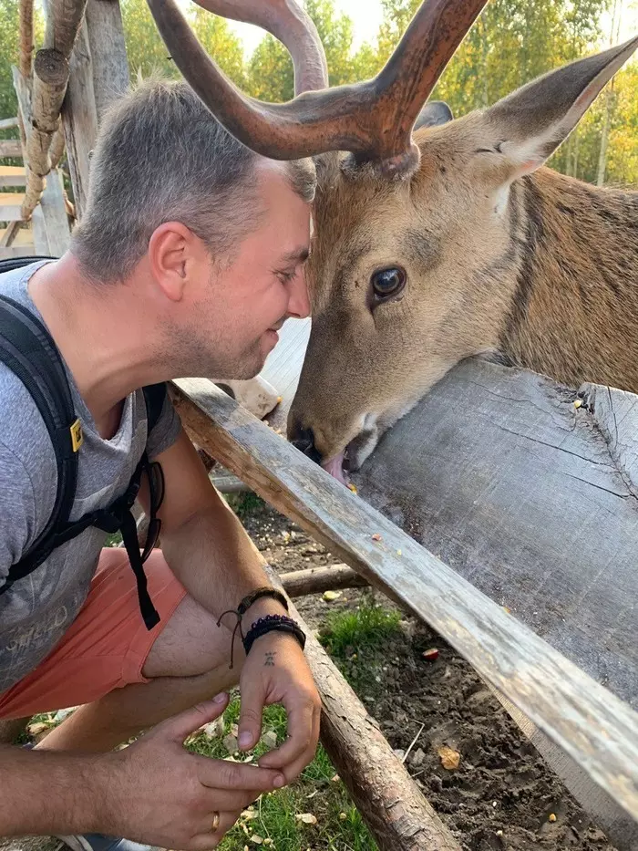 - You are an amazing Deer. - Hear the Deer himself, I am a Maral ... - My, Deer, Startling, Face to face, Safari, Deer