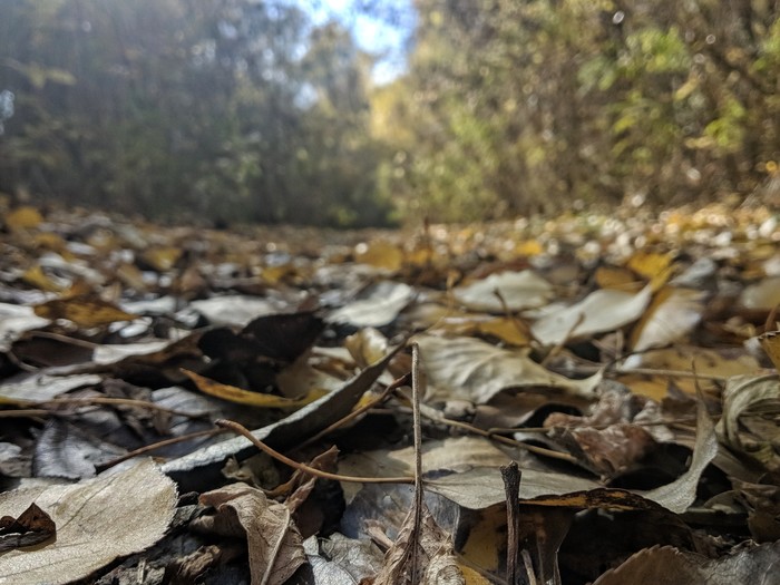 ��� � �����