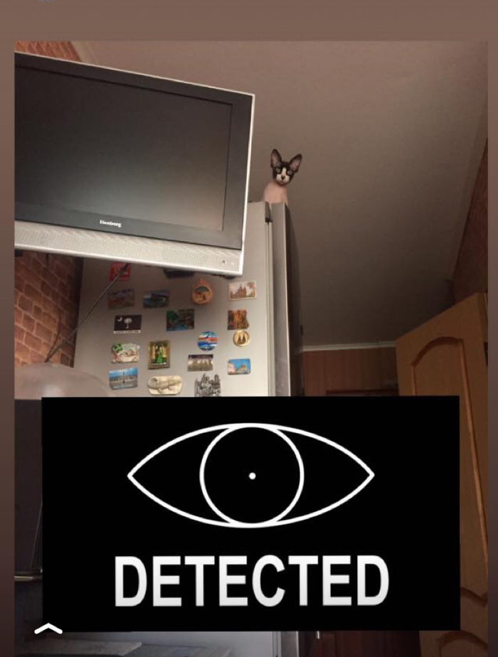 Вас обнаружили!