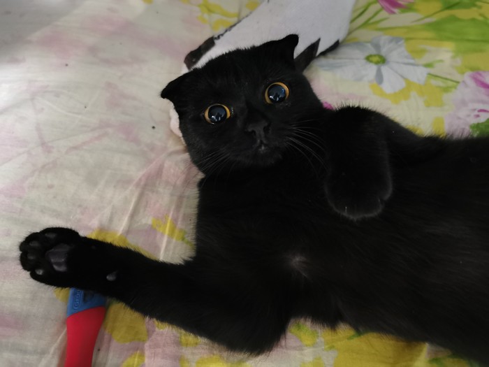         , , ,   