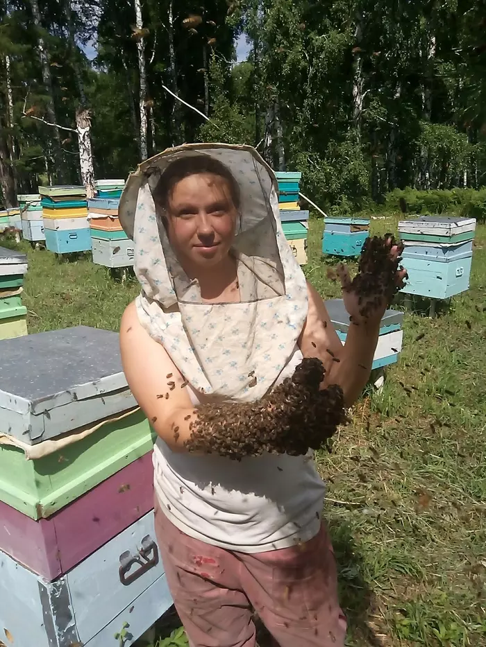 Welcome to peekaboo - My, Beekeeper, Profession, Personal experience, Nature, The nature of Russia, Nature and man, Beekeeping