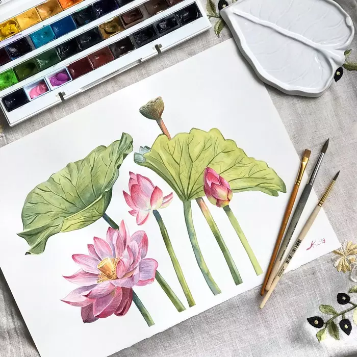 watercolor lotus - My, Watercolor, Flowers, Lotus, Botanical illustration, Botany, Drawing