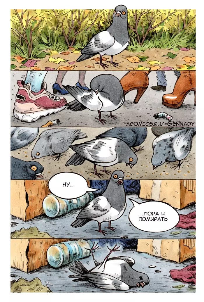 Mood - Pigeon Gennady, Koropublic, Comics, Pigeon