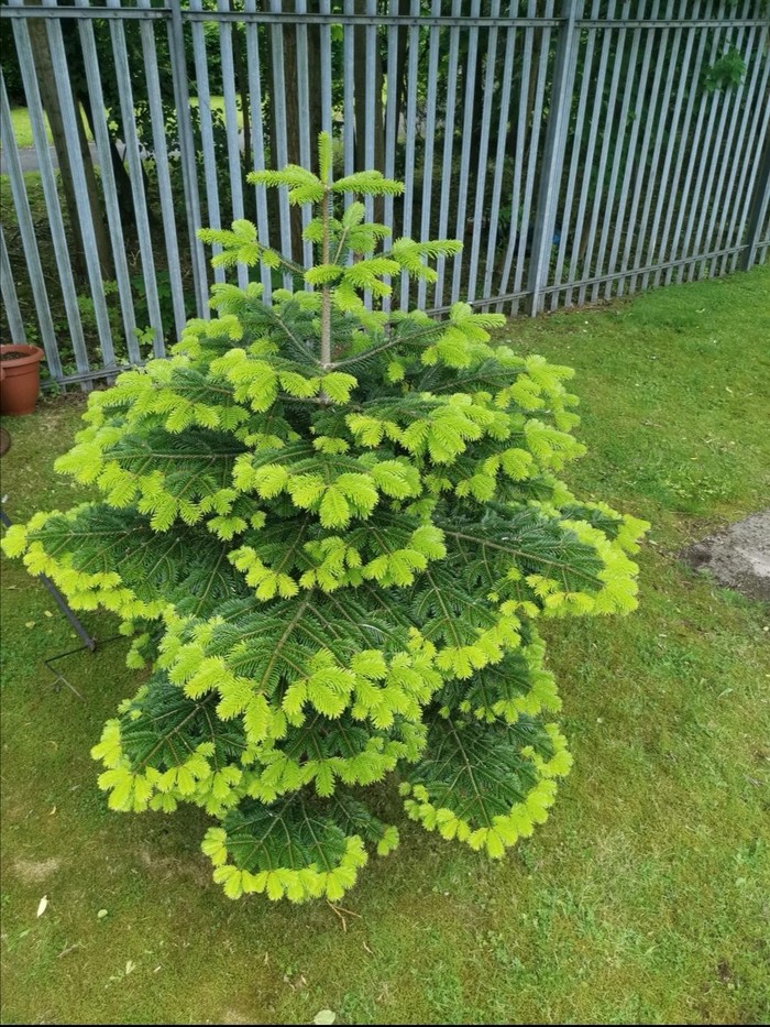 ÐÐ¾Ð²ÑÐ� Ð¸Ð³Ð�Ñ Ð½Ð� ÑÐ�ÐºÐ�