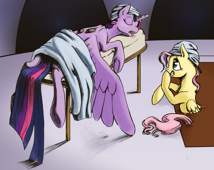   My Little Pony, Twilight Sparkle, Fluttershy, Silfoe