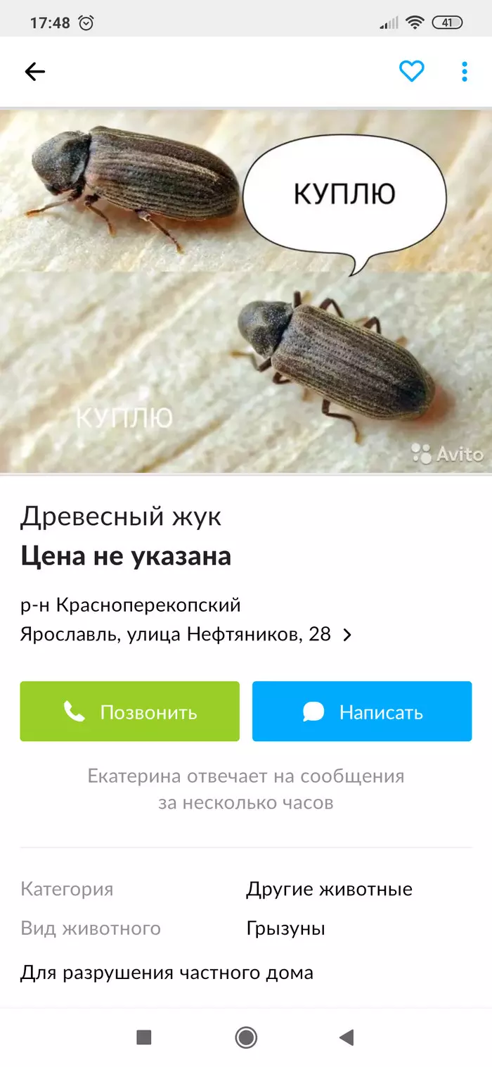 Is this some kind of joke? There are ways to do it faster - Announcement on avito, Humor, Жуки, Longpost