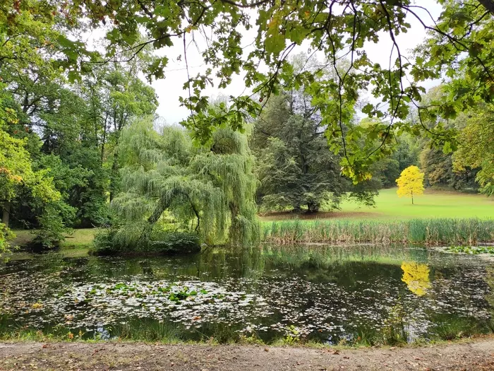 Autumn in the Czech Republic - My, Beginning photographer, Landscape, Czech, The photo, Pond