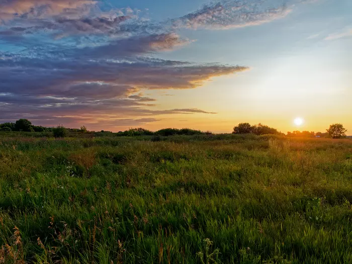 Sunset in the field - My, The photo, Field, Sunset, Olympus, Nature, Longpost, beauty of nature