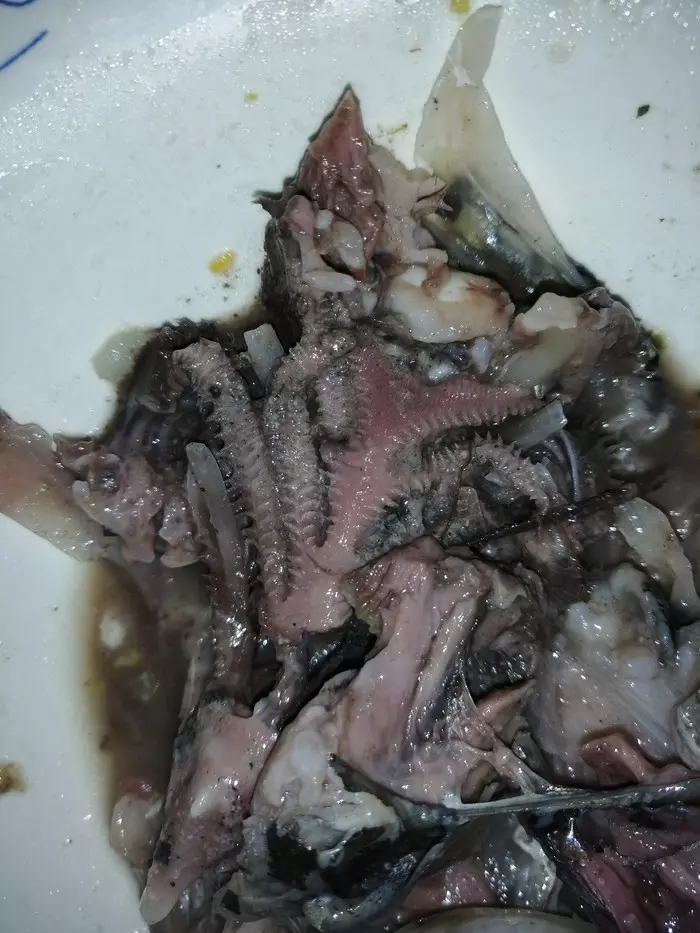 Boiled carp mouth from the inside. - My, Carp, A fish, Abomination