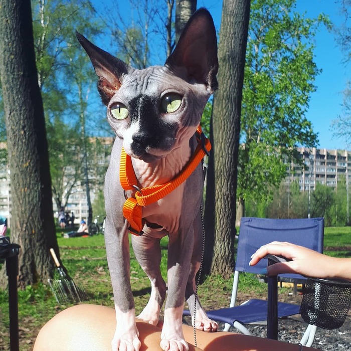 ����� ��������!