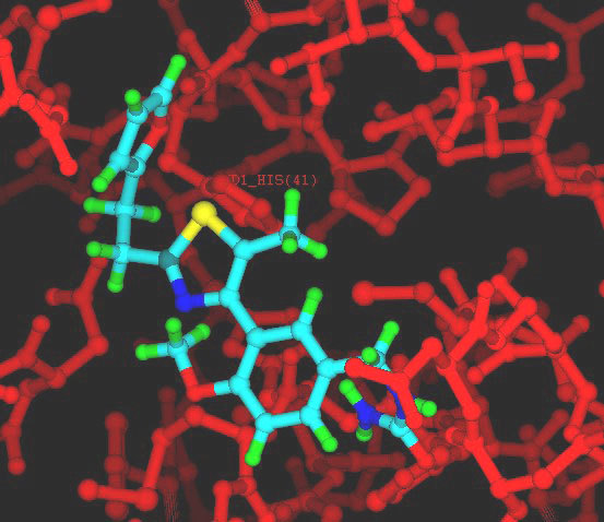 Support the honor of Russia in the project of computer search for a cure for cancer! - The science, Boinc, Medications, Crayfish, AIDS, Hiv, Project, Longpost