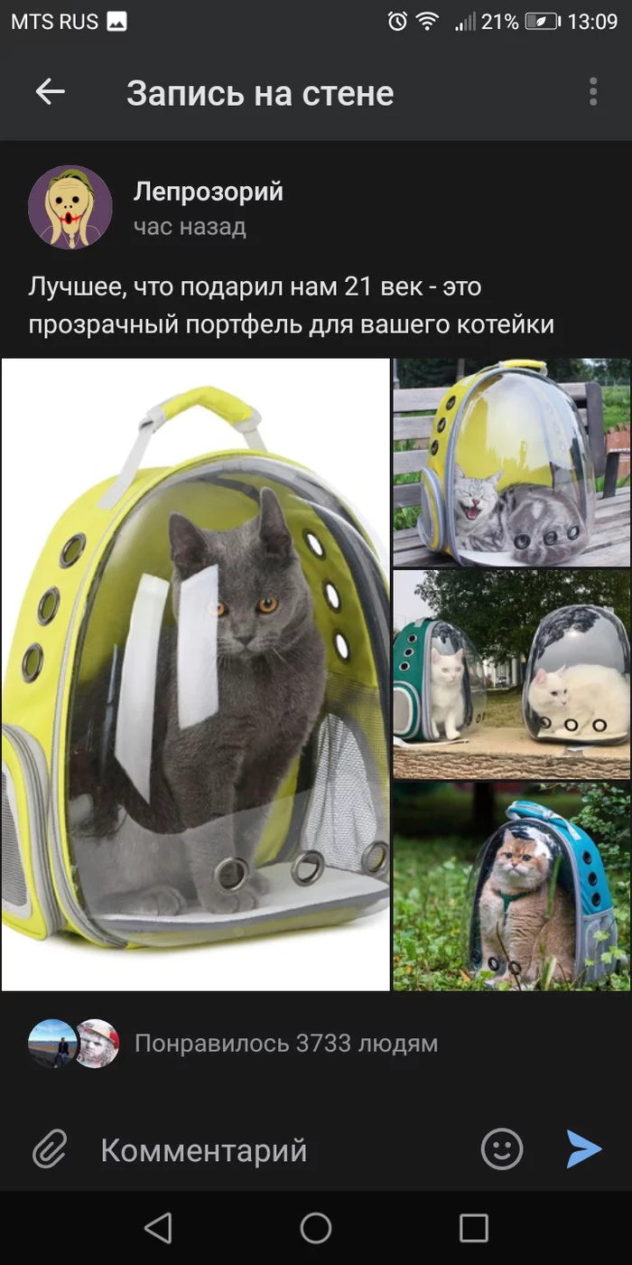 Cats in the porthole - cat, Porthole, Longpost, Screenshot