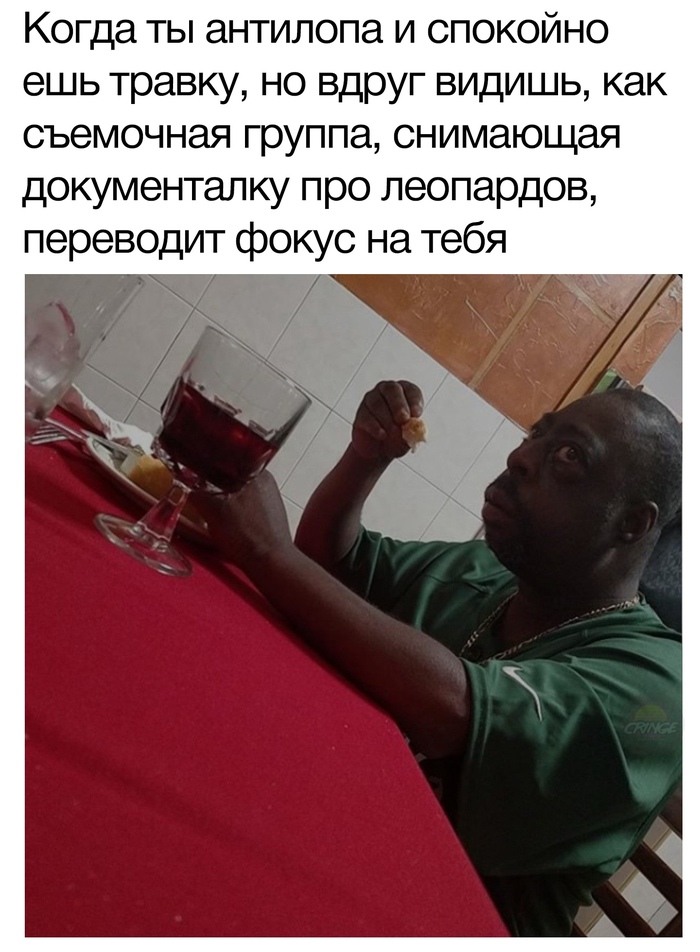 1571307938144695267.jpg