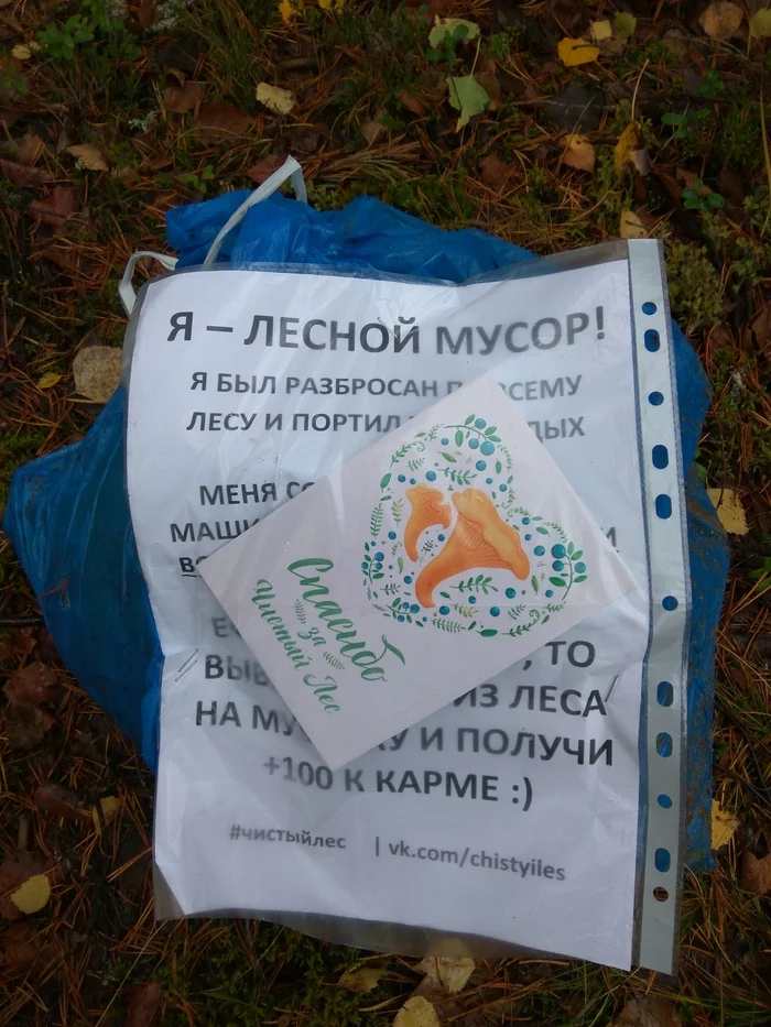 The forest cleaning marathon is over. - My, Clean forest, Cleaning, Chistoman, Pure Man's League, Protection of Nature, Separate garbage collection, Garbage, Ecology, Longpost