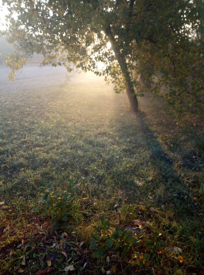 Осеннее утро