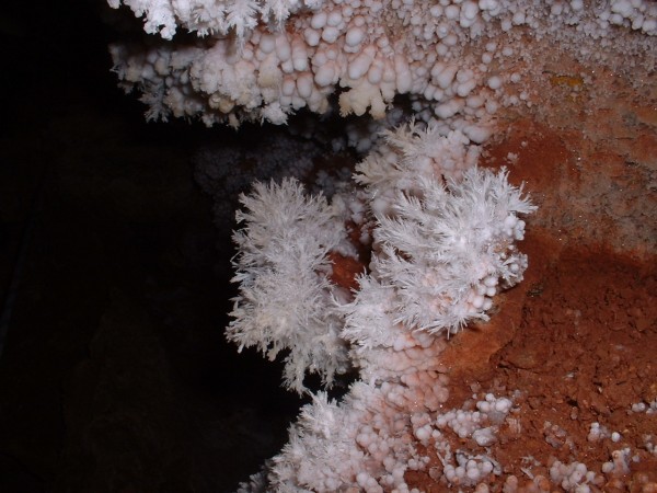 Stone miracles in caves. - Caves, Interesting, Longpost, The photo, Speleology