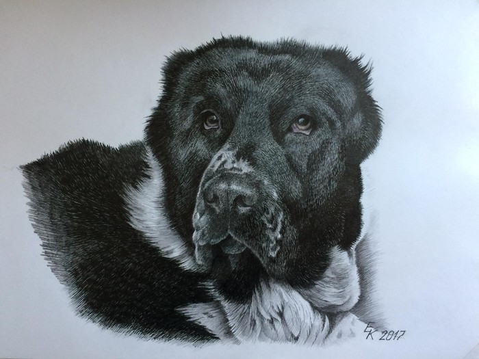 ������-��������� ������� ���� ��� ���� (������ �3, �����, ������� ���������).