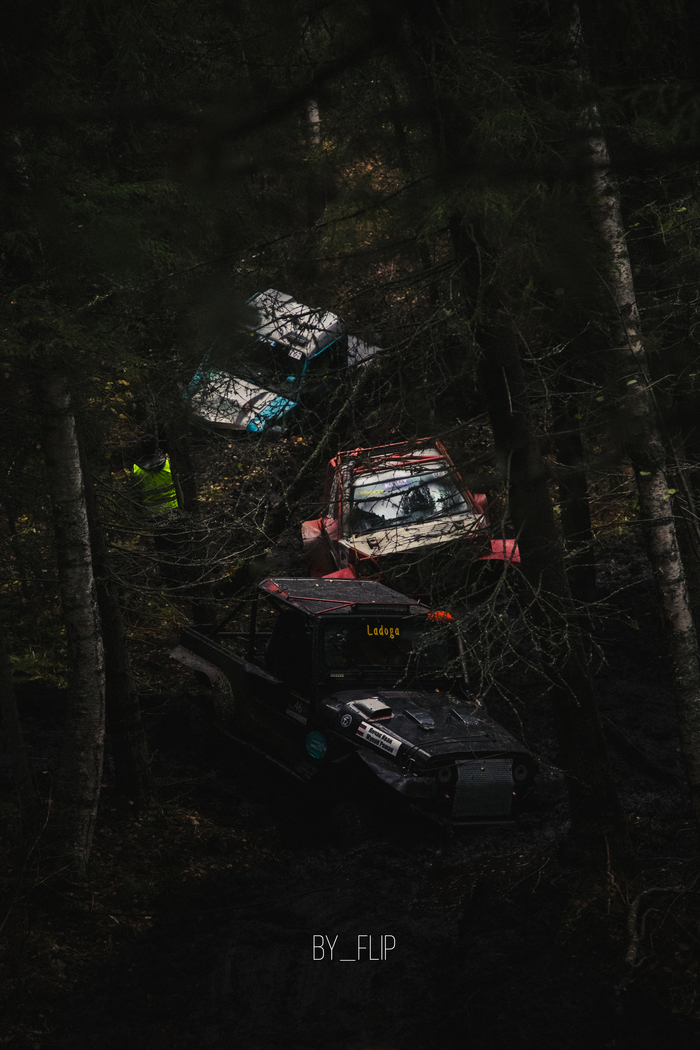 Мы идем за...