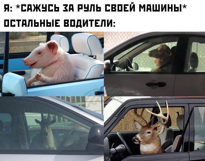 ��� � ����.