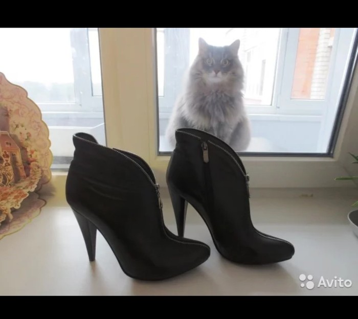 Ankle boots + bonus - Avito, Announcement on avito, cat, Longpost