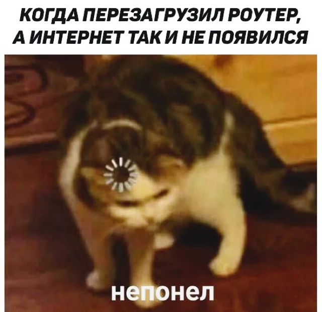A very life-like meme. - Memes, Accordion, cat