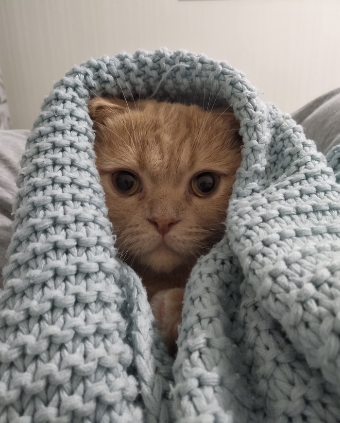 Святой Локи нашей квартиры