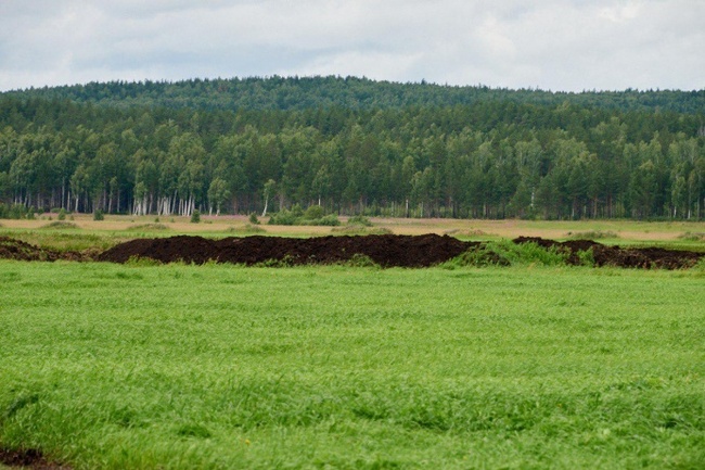 In Yekaterinburg they are going to shift the city boundaries for the sake of a landfill - Yekaterinburg, Vysokinsky, Garbage landfill, Dump, Shies, Longpost