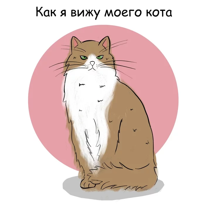 About cats - My, cat, Comics, Drawing, Picture with text