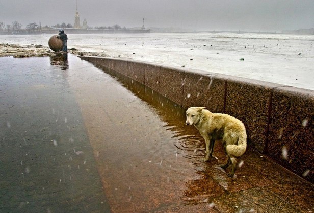 Фотограф Александр Петросян, ч.2 - Фотография, Подборка, Александр Петросян, Длиннопост