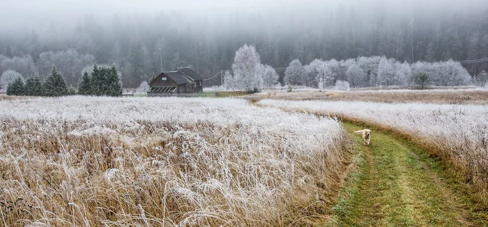 Sedoye Spirkovo - The photo, Village, Autumn, Leningrad region, Winter