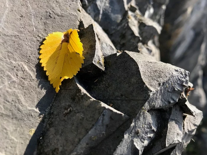 #12 Autumn - My, The photo, The rocks, Autumn, Lake Como